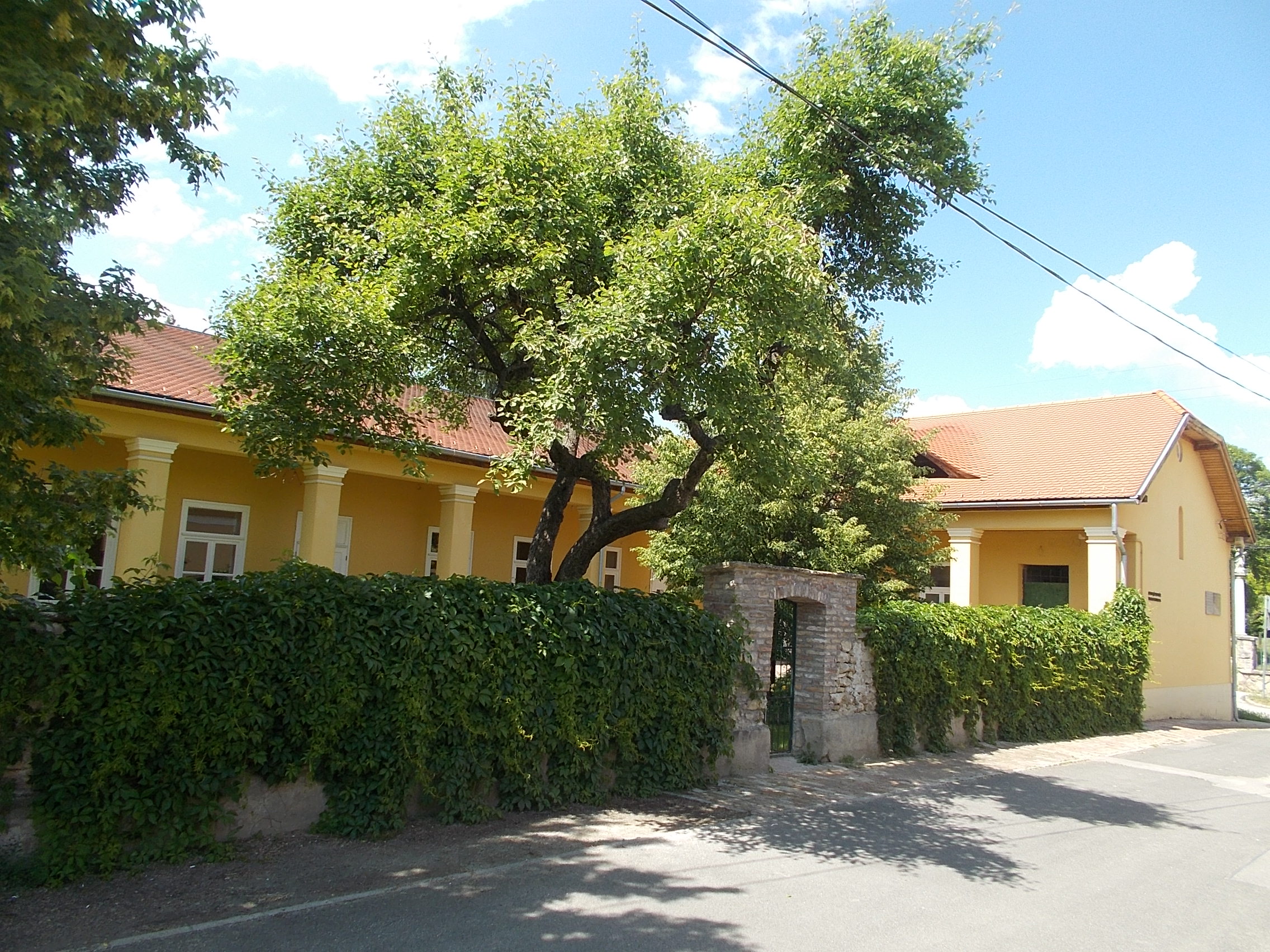 Thumbnail Image