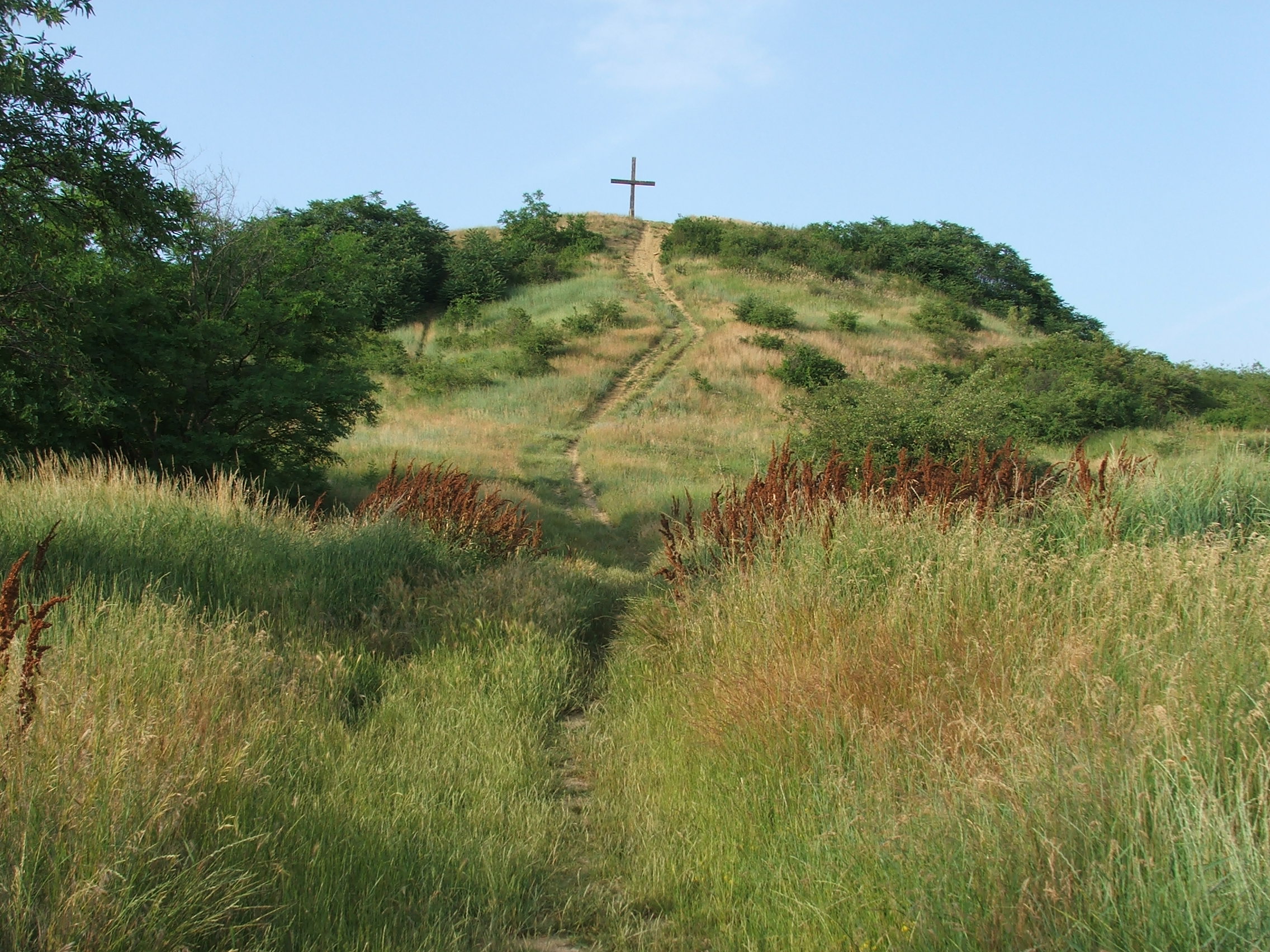 Thumbnail Image